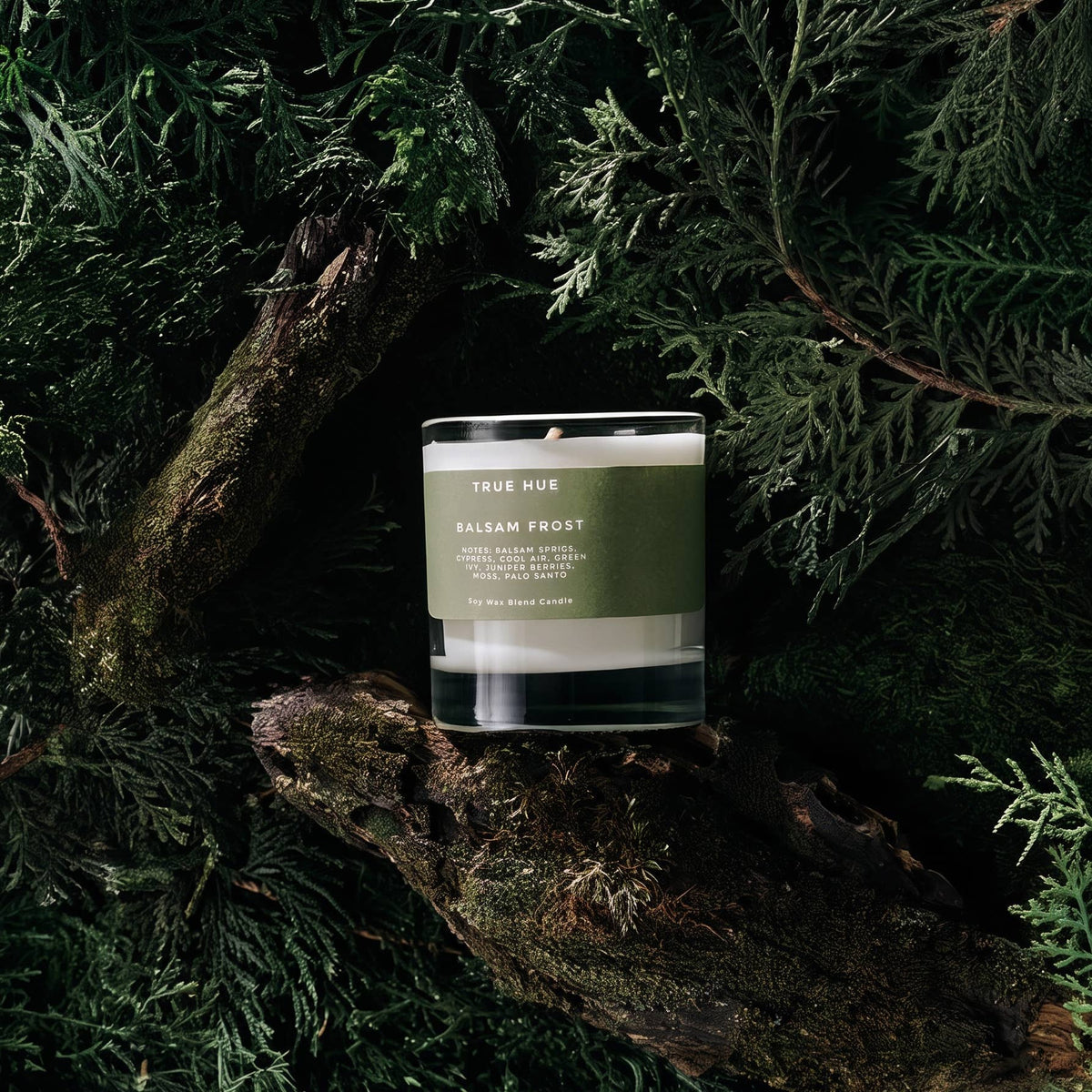 True Hue - Balsam Frost Candle - FALL / HOLIDAY