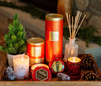 The SOi Company - Holiday Spice  9oz Holiday Soy Candles Tin